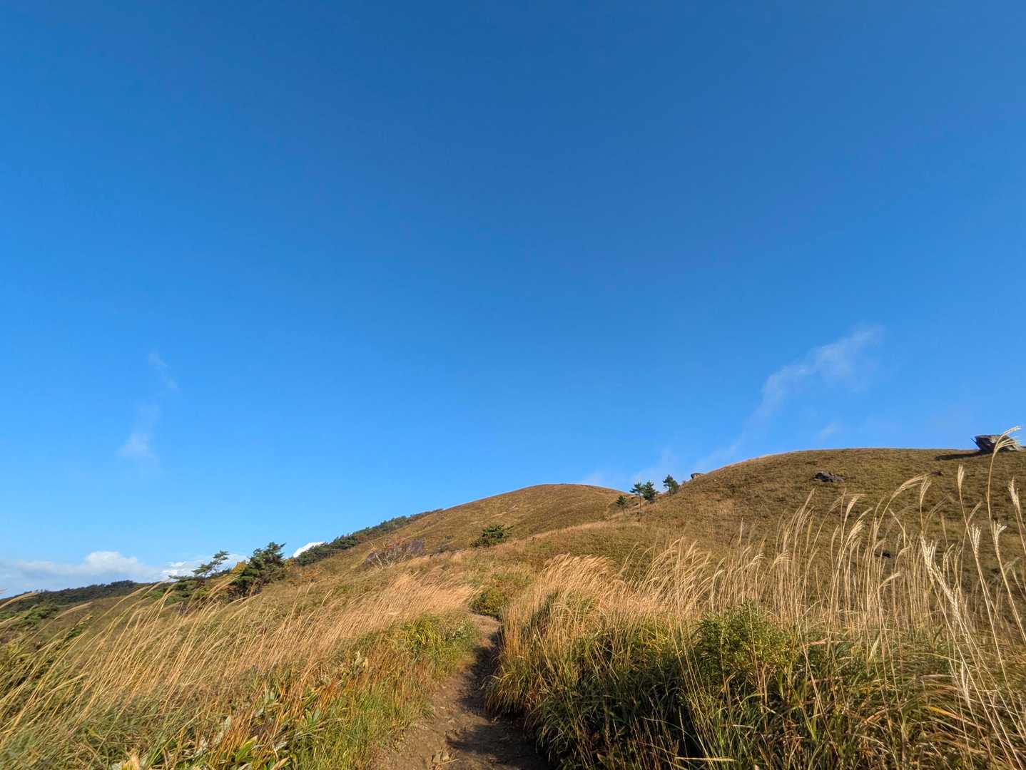 風に揺られて〜🌾