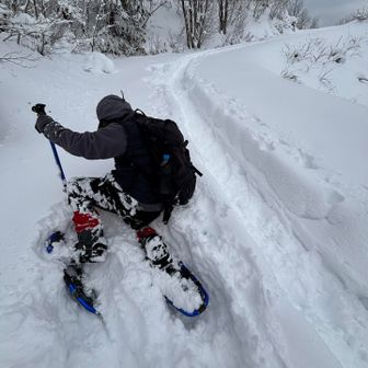 もがいています。笑