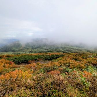 ガスガスになってきた💦