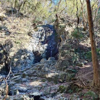 松葉の滝凍結してない