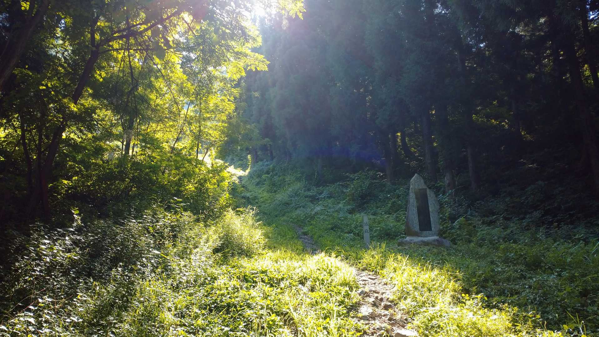 城坂から登ります