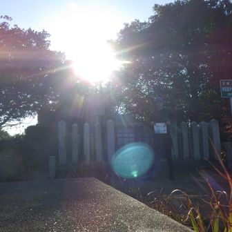 逆光で自撮り🤳