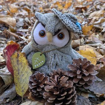 こんでええねん