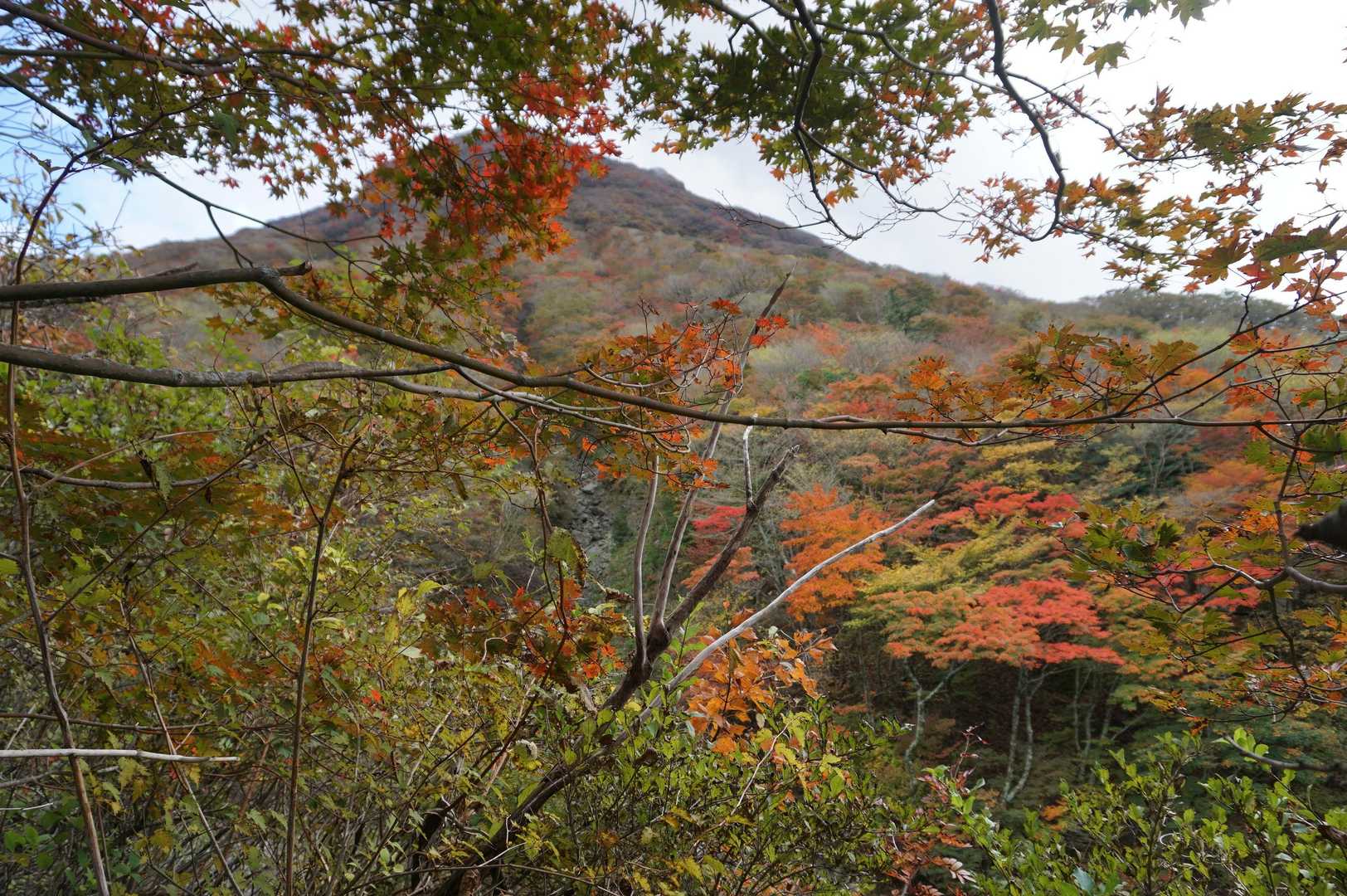 大戸越-平治岳-雨ヶ池越-くじゅう登山口 縦走コースの写真