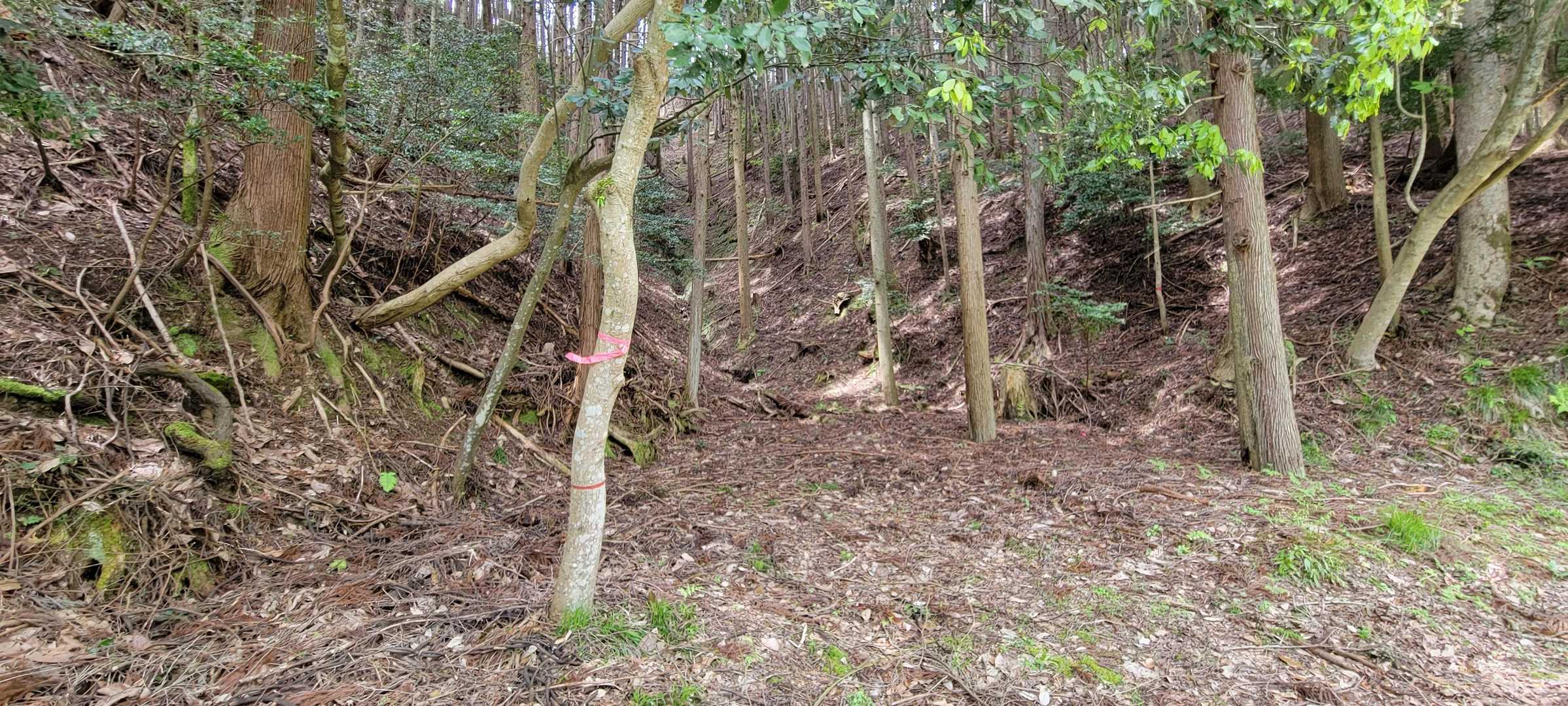 親不知 周回コースの写真