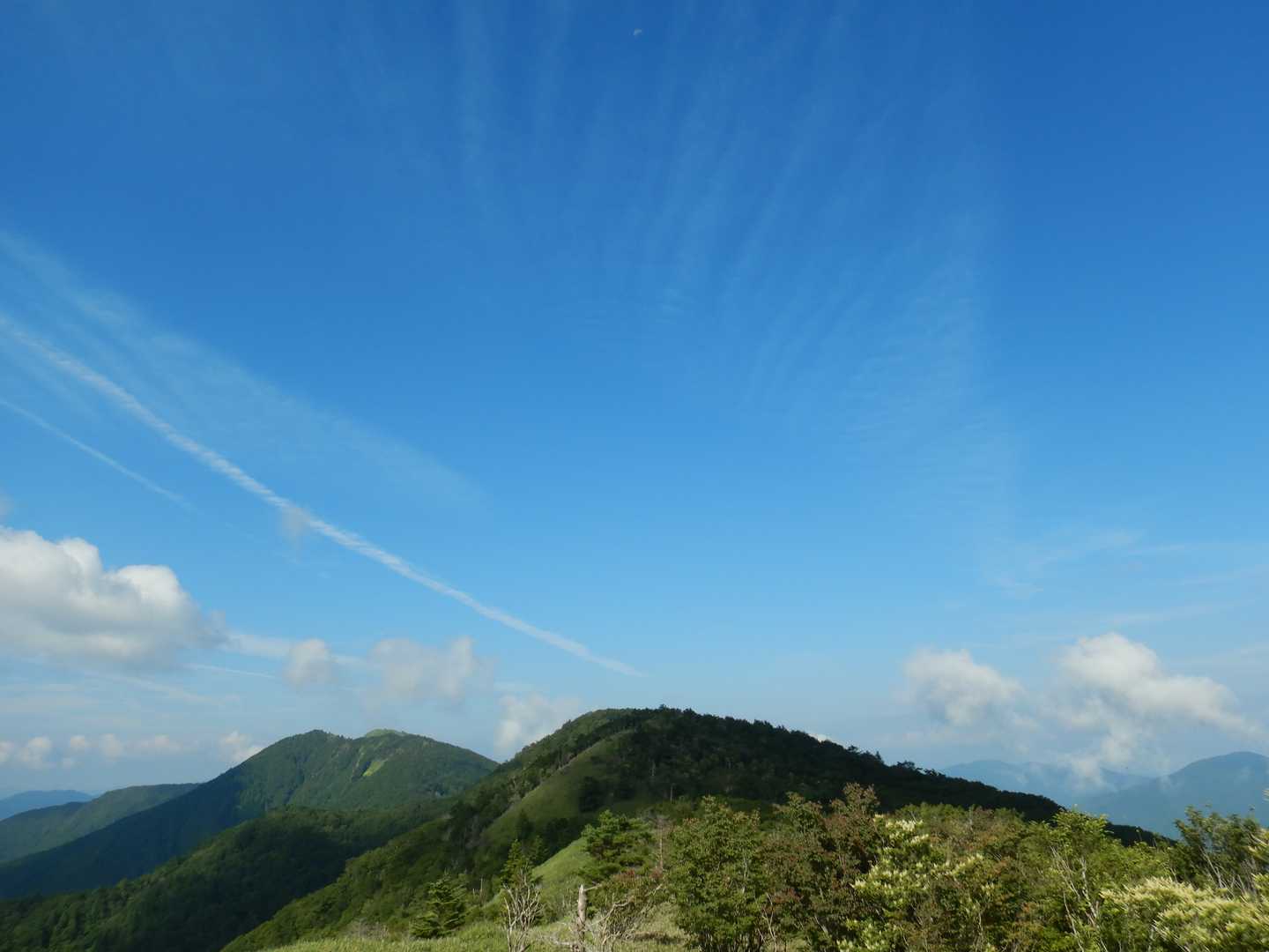 いい天気。