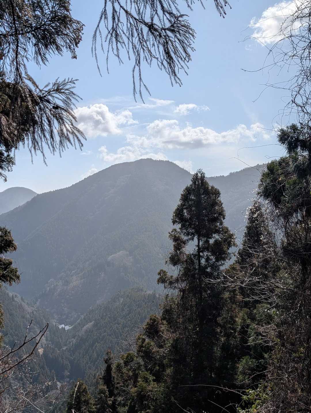 前回の関ふれで歩いた熊倉山と浅間峠が見える👀
陣馬からずっと歩いてきた道のり✨