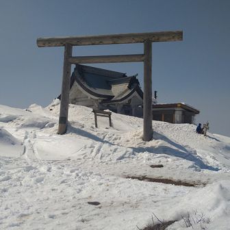 昨年のモコモコ⛩️が懐かしい💧