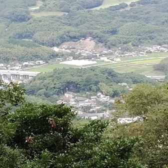 崎門岳から下を望む　中央のこんもりした所に　本宮があります
