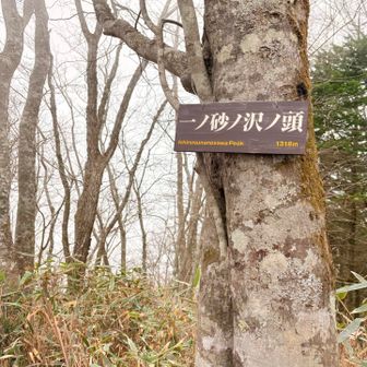 一ノ砂ノ沢ノ頭✨✨
雨☂️は上がったのですが
山は雲☁️の中🥲