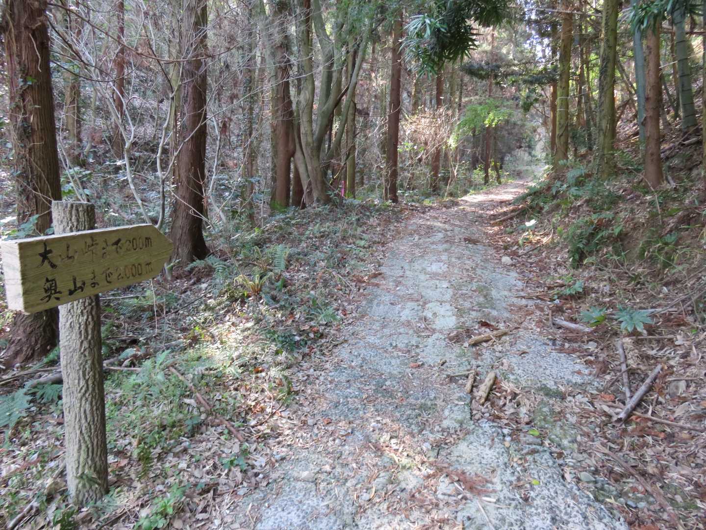 奥山登り口　-大山峠-大山-青影山 往復コースの写真
