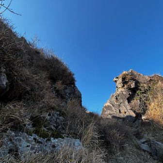 この辺りまで来るとアドレナリンで苦しさはほぼ感じない笑