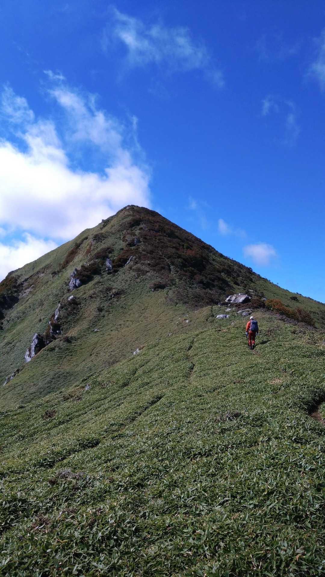 緑のササ原がきれいです