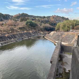 養老川🏞️
覗き込んでいますが
努力が報われてなかった