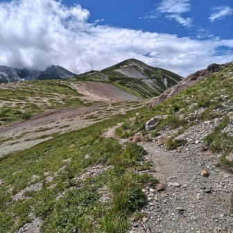 白馬岳に向かっての登り返し