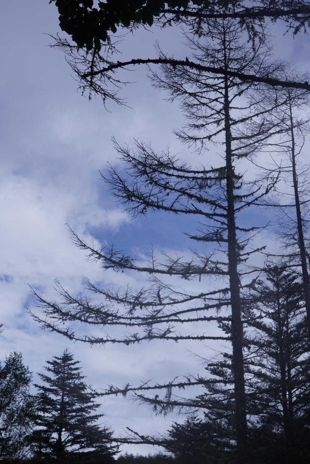 青空がのぞく(^^)