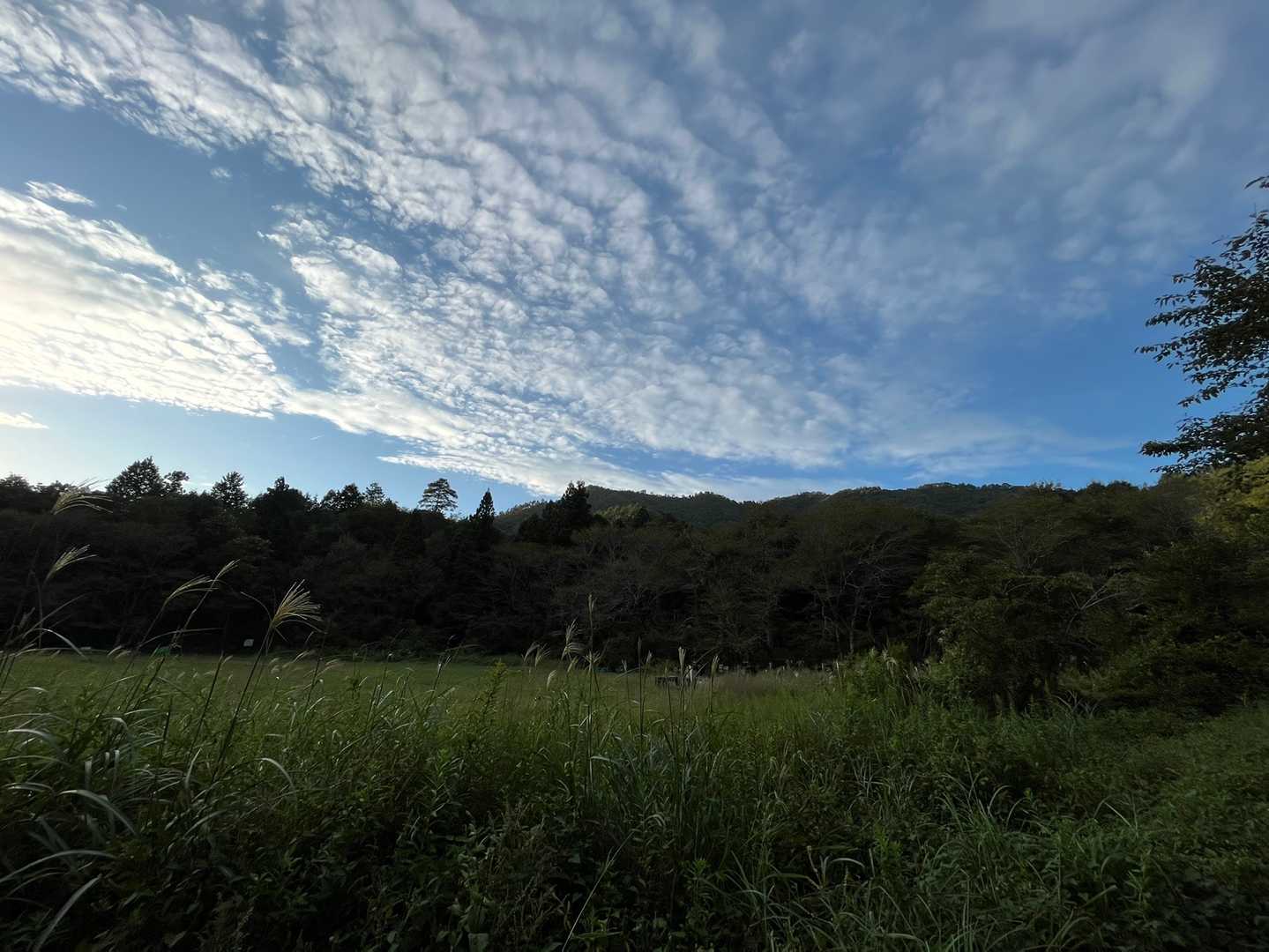 登ってきた山を振り返る