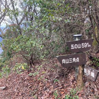 五の山