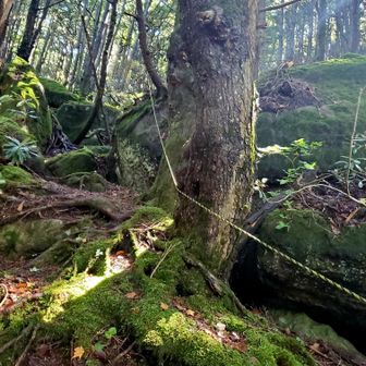 桟敷山へ
岩の間を🎶楽しい🎵
このルートにして良かった！ルンルンしながら
そして歩きやすい👌
