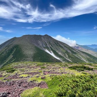 十勝岳の噴煙が見えます