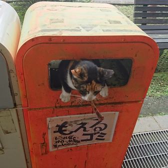 オサンポマロン