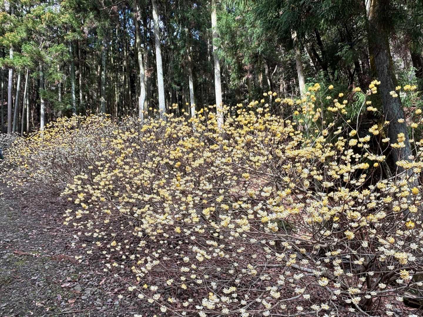 半僧坊前バス停-経ヶ岳-華厳山-高取山-太平登山口-東谷戸 縦走コースの写真