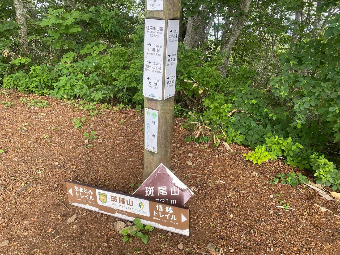 『斑尾山』登頂‼️🥳🎉