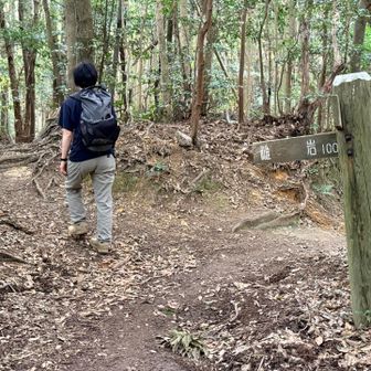 雌岩に寄ってみる