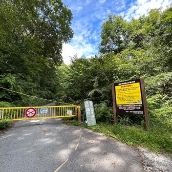 長い長〜い下り、最後は林道ロード。