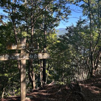 白倉山・588m
よーやく到着‼︎

…で、100m先に白倉覗??
ワクワクするネーミング😍