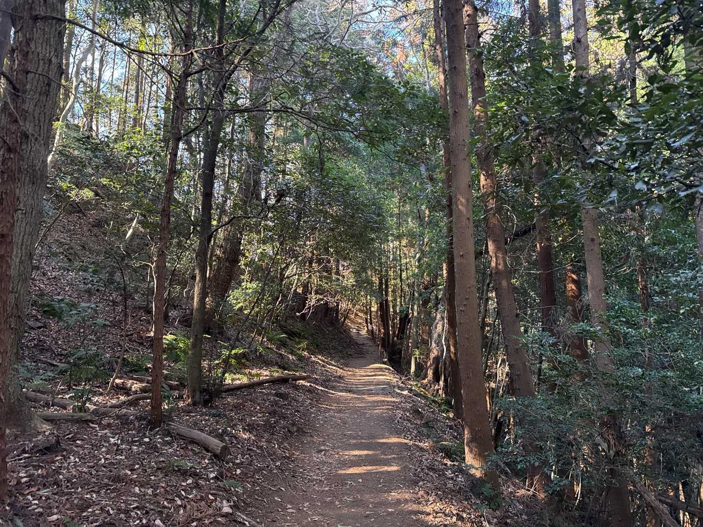 大中寺-太平山-ぐみの木峠-晃石山 周回コースの写真