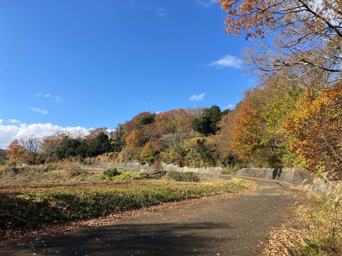 晴れてきて、ちょっと暑いくらいです