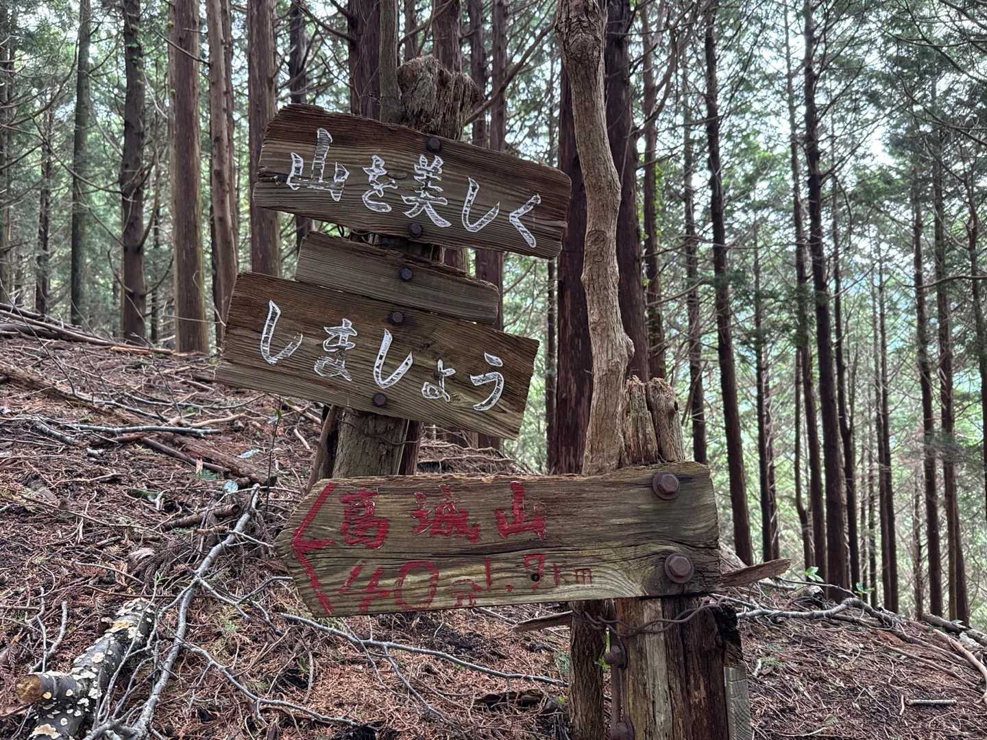 ここまでずっと登りと階段💦
階段苦手です😣
でもあと少しですね☺️