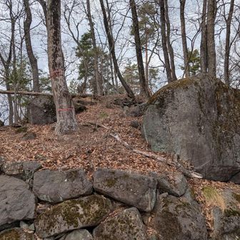 山城🏯跡石垣が残ってます