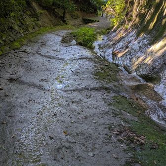 この辺りも水少なめ