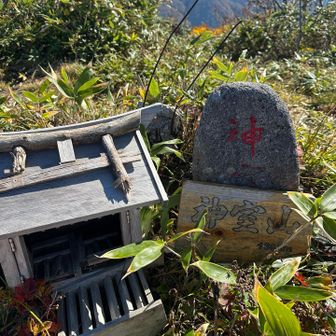 頂上も赤い神様