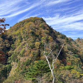 十二ヶ岳