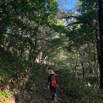 無事登山口が見えて来ました。