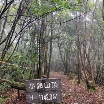小鈴山頂🛎️🛎️