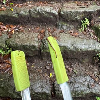 女坂でヒルに遭遇。いつの間にか靴に張り付いてます。