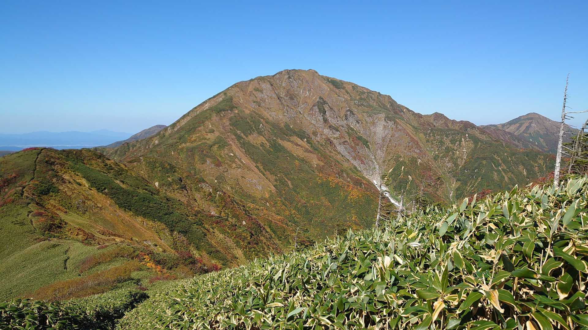 この日の主役 中ノ岳
雄大な中ノ岳を見ながらの稜線歩きは格別ですが、遥か遠くに見える越駒まで歩ききれるのか？？とだんだんとネガティブになってくる