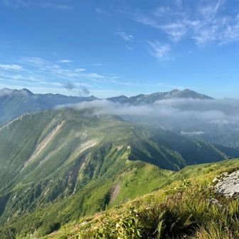 鳶山からの縦走路😍
奥に薬師岳が待っててくれてます！