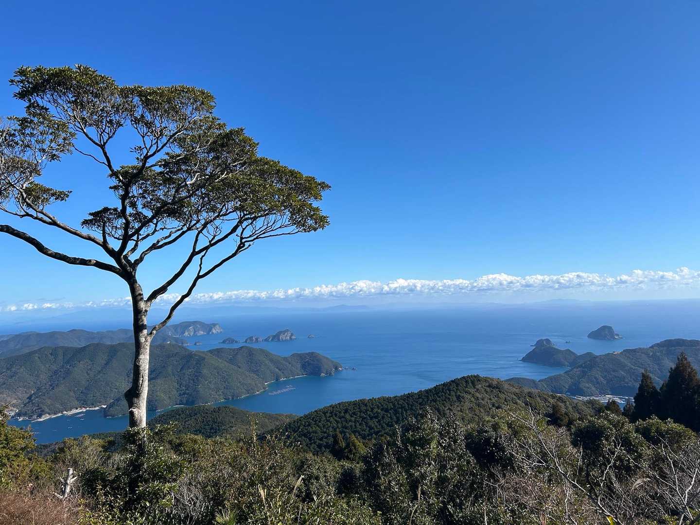 色利登山口-元越山 往復コースの写真