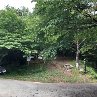 いつもの登山口からスタート。登りはいつものルートで。