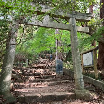いつもの御幸ヶ原コース。ちょっと久しぶり