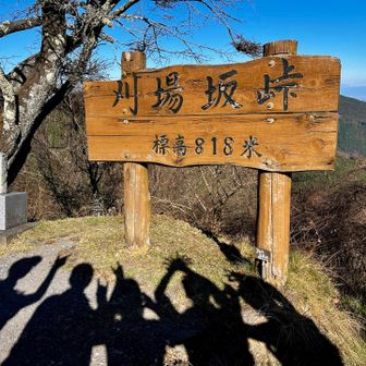 手影絵を作ってみる🐈‍⬛
それぞれ何を作ってるかわかりますか？😁