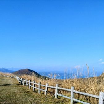 羊蹄が薄っすら見えました✨