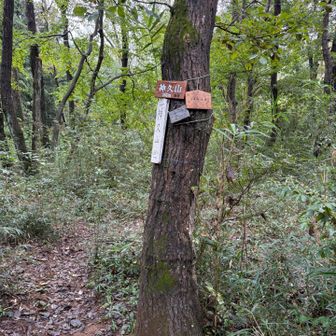 少し登るだけなので立ち寄り