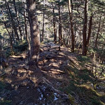 下り。結構急で、ところどころ雪があります。
気をつければそのままいけます。