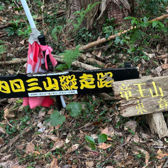 そんで150m地点くらいまで急降下し440mまで UP↗︎↗︎